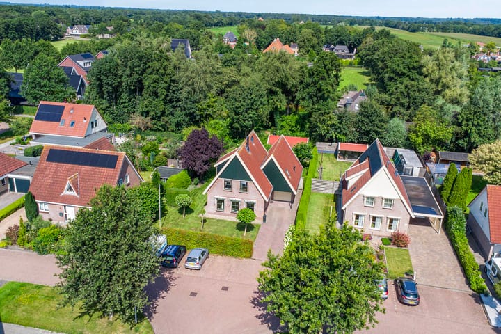 Pompeblêd 14 in Lippenhuizen Foto