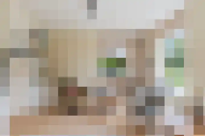 Pompeblêd 14 Lippenhuizen thumbnail 10