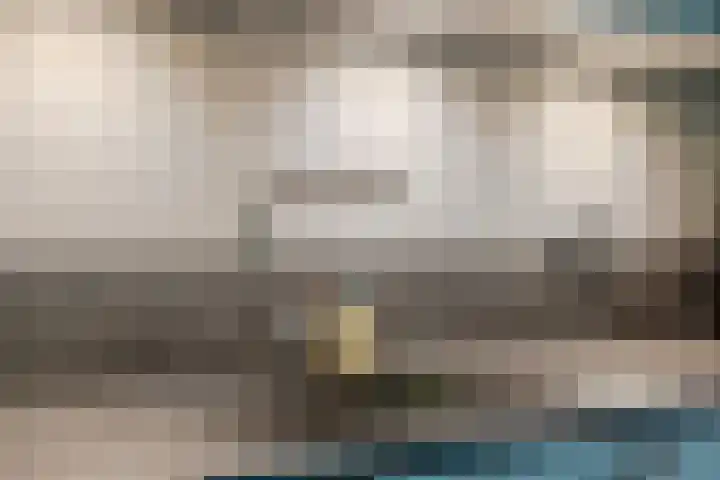 Pompeblêd 14 Lippenhuizen thumbnail 16
