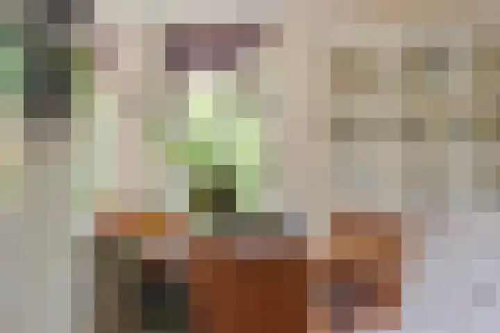 Pompeblêd 14 Lippenhuizen thumbnail 17