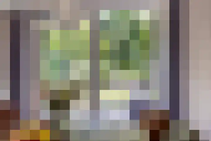 Pompeblêd 14 Lippenhuizen thumbnail 18