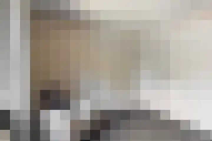 Pompeblêd 14 Lippenhuizen thumbnail 24