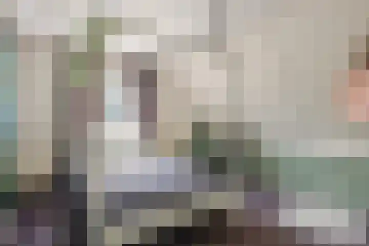 Pompeblêd 14 Lippenhuizen thumbnail 27
