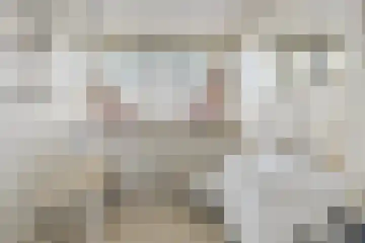 Pompeblêd 14 Lippenhuizen thumbnail 28