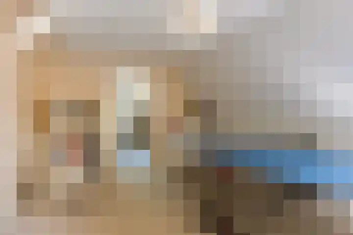 Pompeblêd 14 Lippenhuizen thumbnail 30