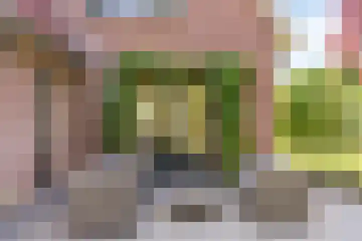 Pompeblêd 14 Lippenhuizen thumbnail 33