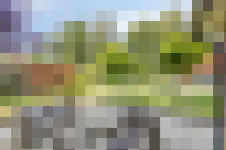 Pompeblêd 14 Lippenhuizen thumbnail 34