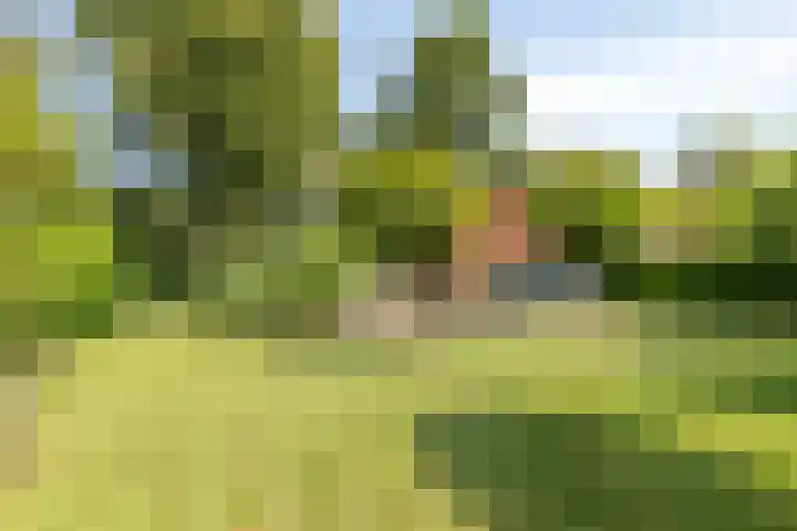 Pompeblêd 14 Lippenhuizen thumbnail 35