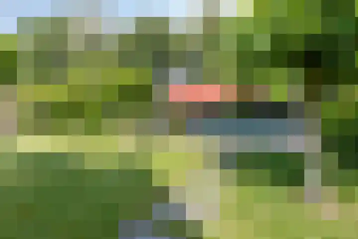 Pompeblêd 14 Lippenhuizen thumbnail 36
