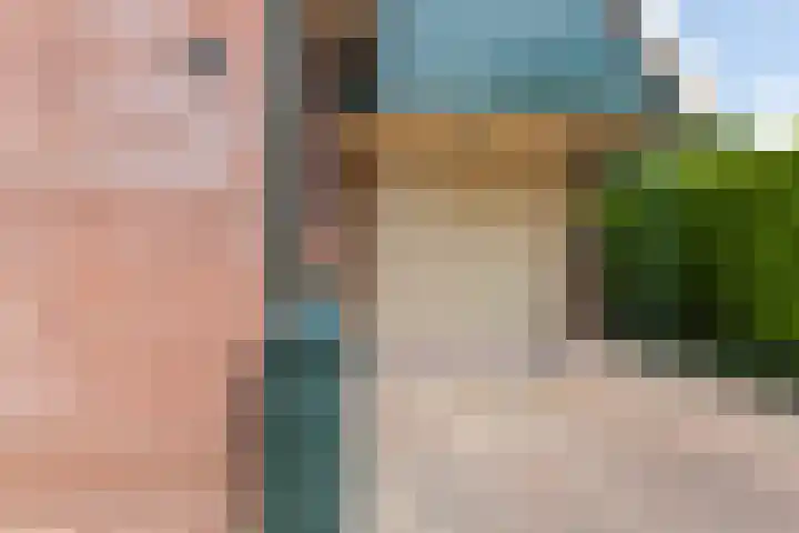 Pompeblêd 14 Lippenhuizen thumbnail 38