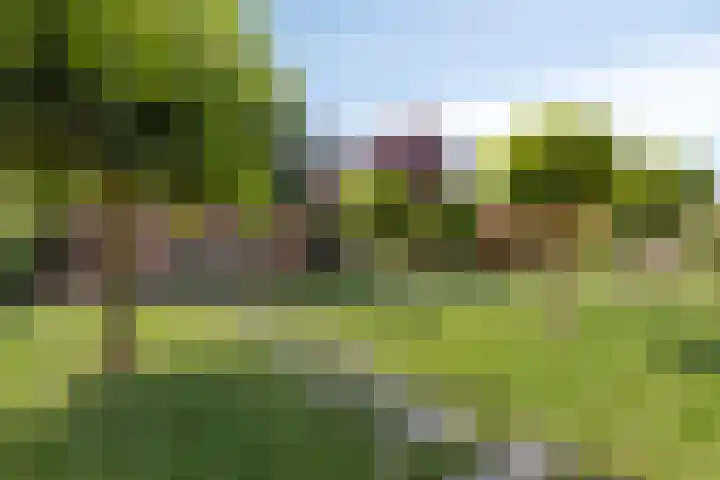 Pompeblêd 14 Lippenhuizen thumbnail 4