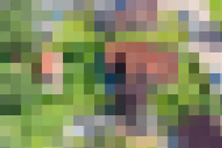Pompeblêd 14 Lippenhuizen thumbnail 40