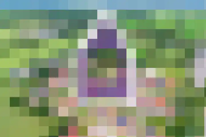Pompeblêd 14 Lippenhuizen thumbnail 41