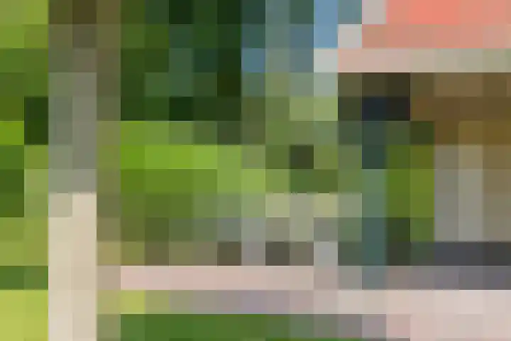 Pompeblêd 14 Lippenhuizen thumbnail 5