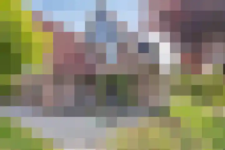 Pompeblêd 14 Lippenhuizen thumbnail 6