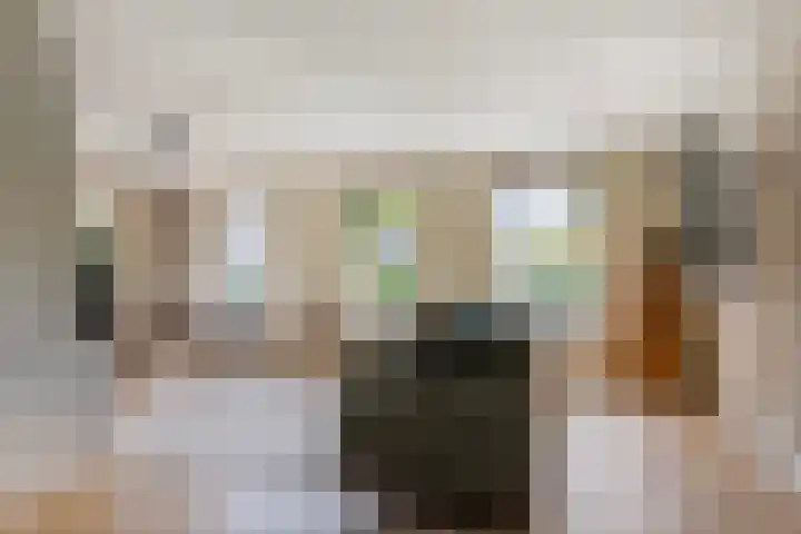 Pompeblêd 14 Lippenhuizen thumbnail 8
