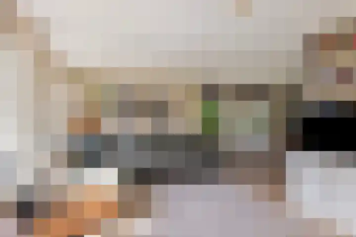 Pompeblêd 14 Lippenhuizen thumbnail 9