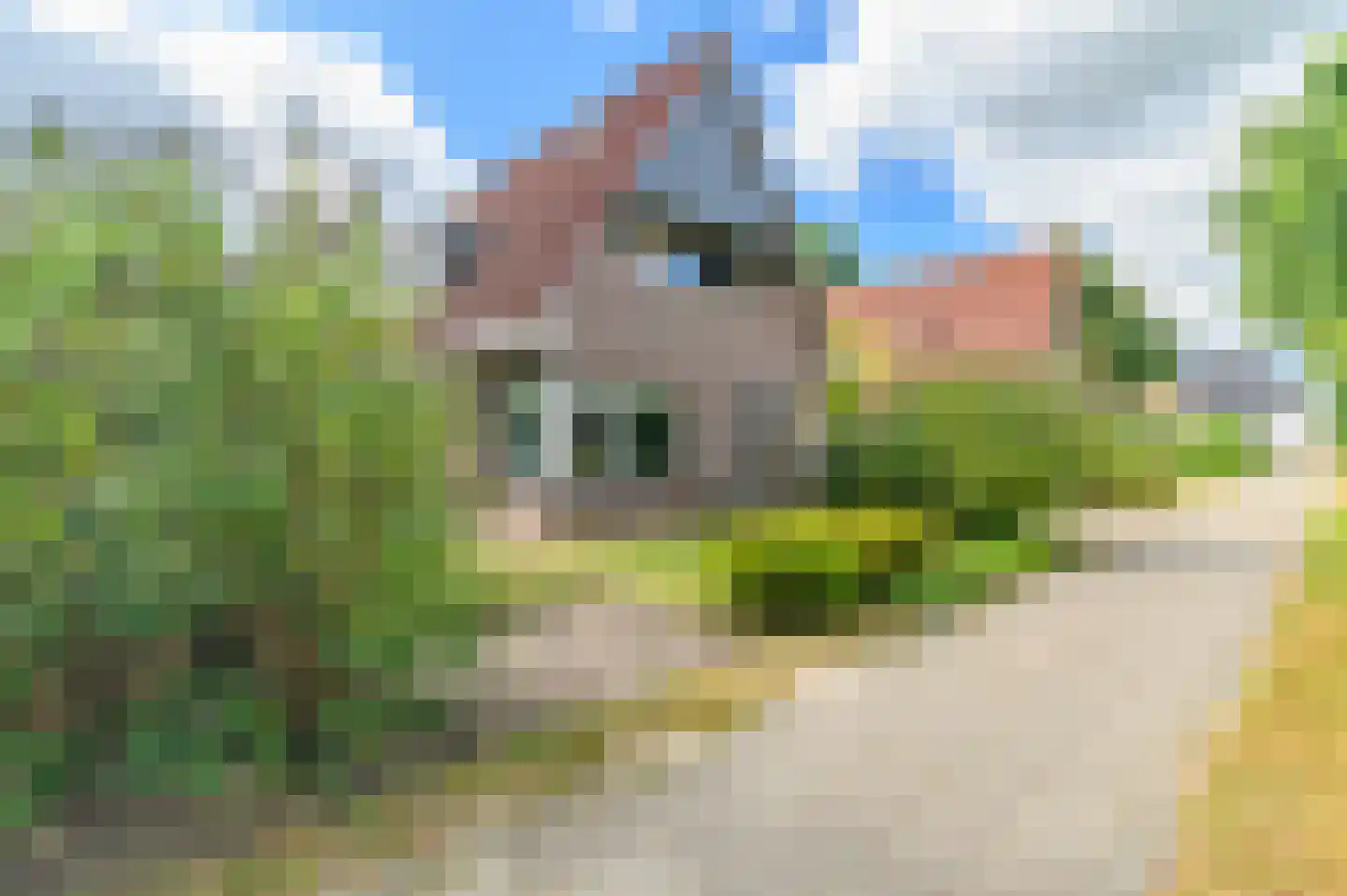 Pompeblêd 15 Lippenhuizen thumbnail 10