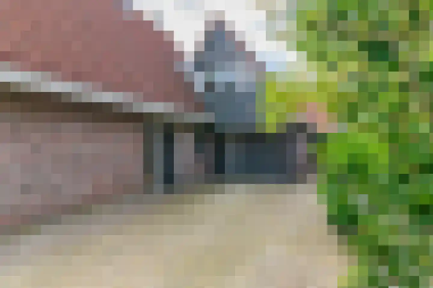Pompeblêd 15 Lippenhuizen thumbnail 12
