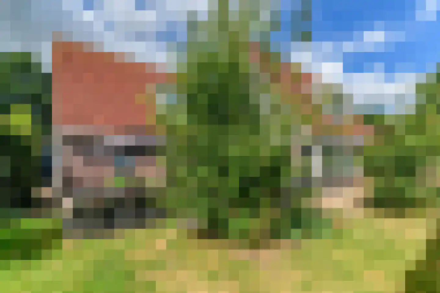 Pompeblêd 15 Lippenhuizen thumbnail 13