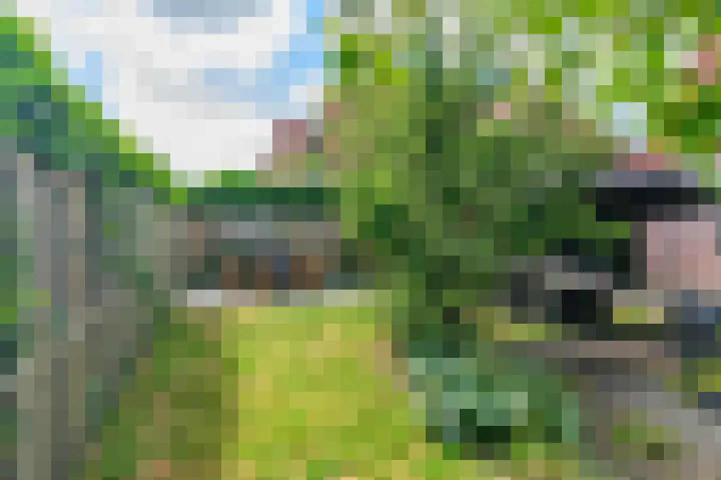 Pompeblêd 15 Lippenhuizen thumbnail 14