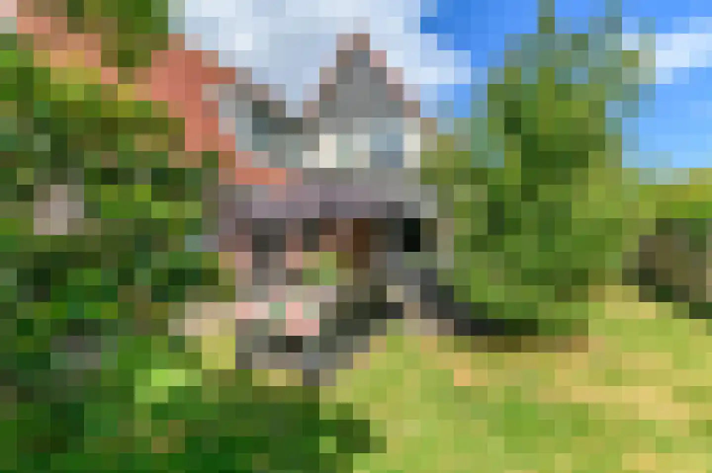 Pompeblêd 15 Lippenhuizen thumbnail 17