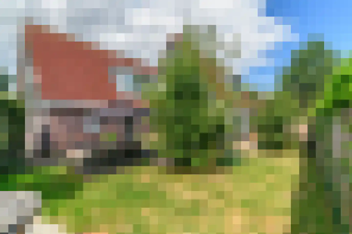 Pompeblêd 15 Lippenhuizen thumbnail 18