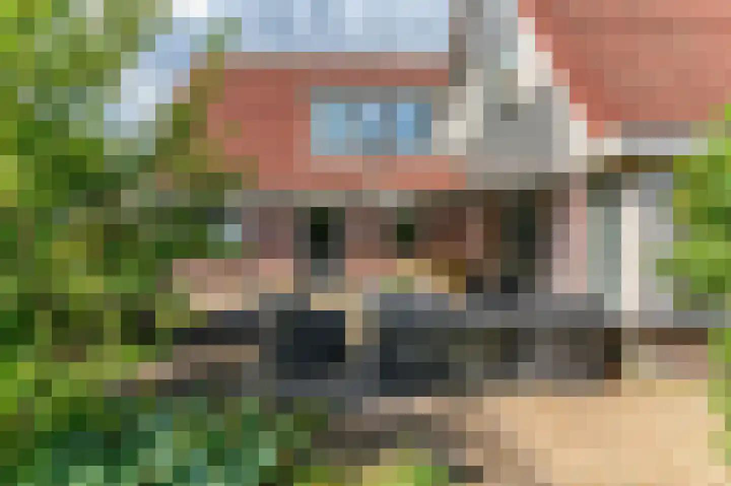 Pompeblêd 15 Lippenhuizen thumbnail 19