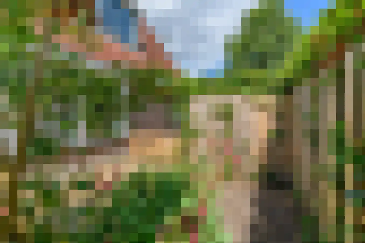 Pompeblêd 15 Lippenhuizen thumbnail 20