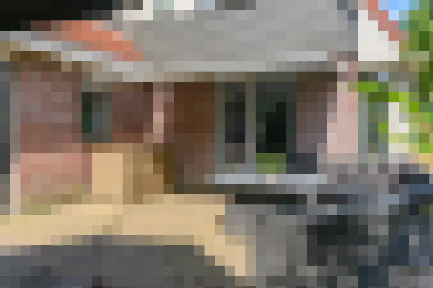 Pompeblêd 15 Lippenhuizen thumbnail 21