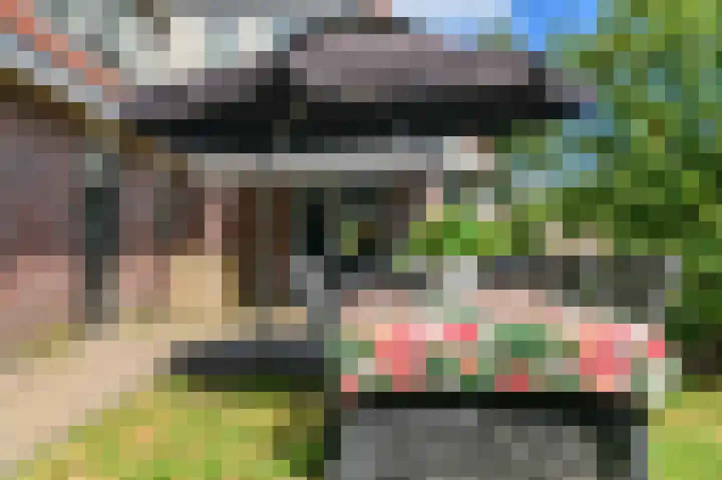 Pompeblêd 15 Lippenhuizen thumbnail 22