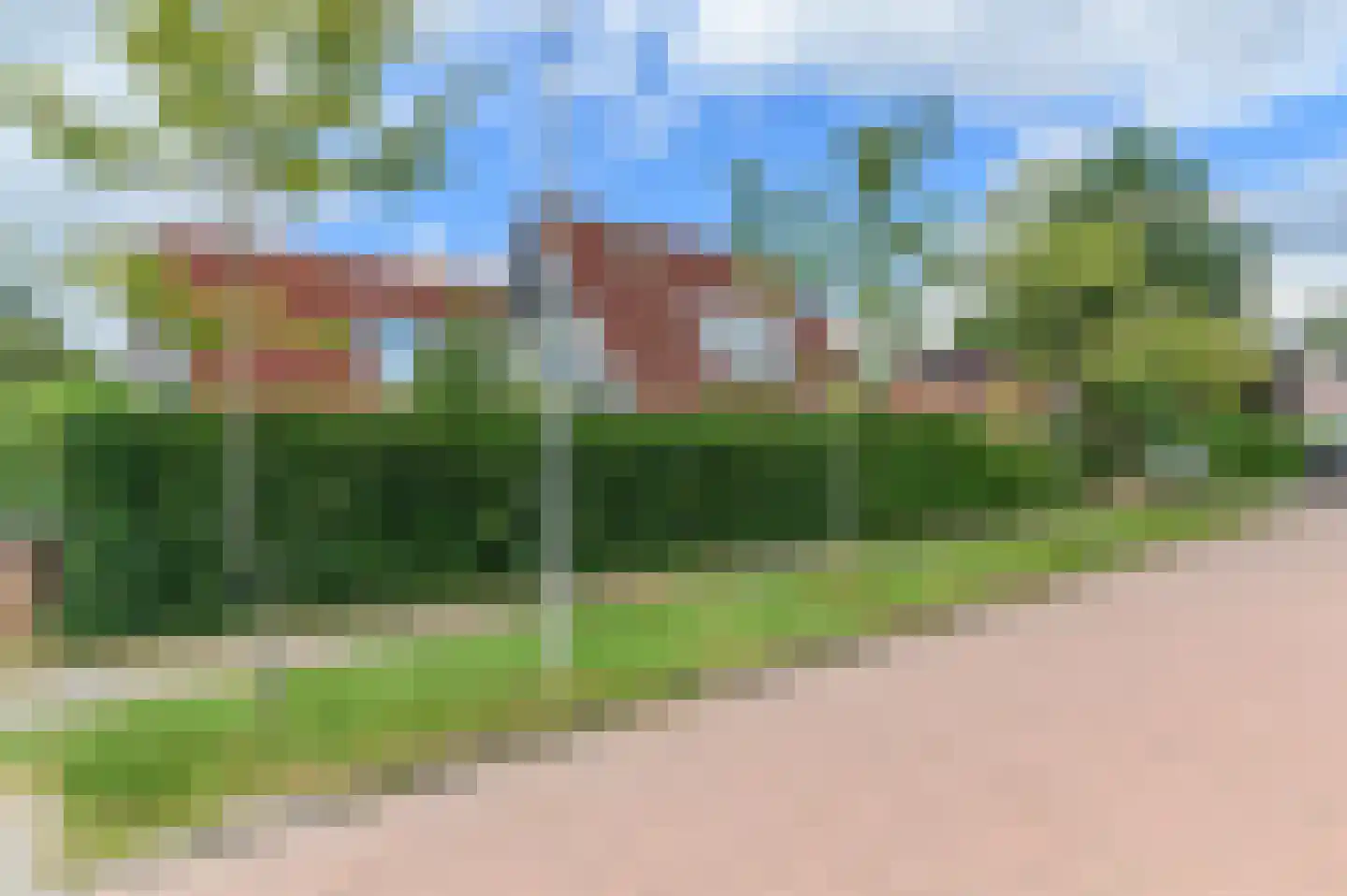 Pompeblêd 15 Lippenhuizen thumbnail 25