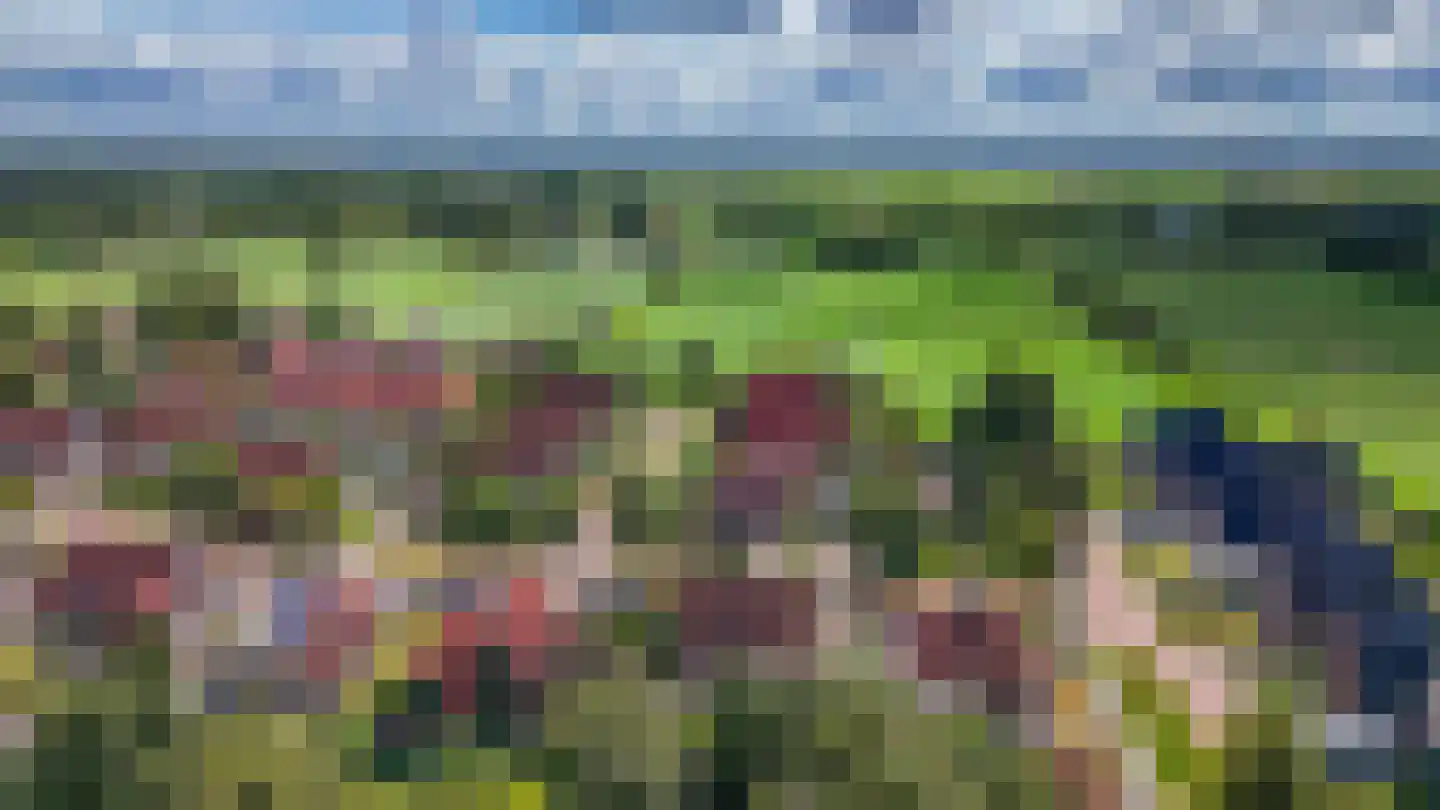 Pompeblêd 15 Lippenhuizen thumbnail 28