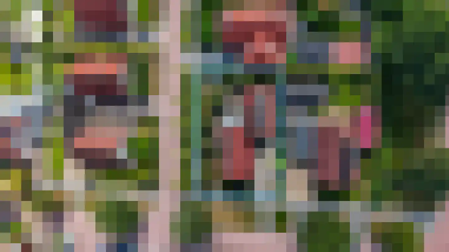 Pompeblêd 15 Lippenhuizen thumbnail 29