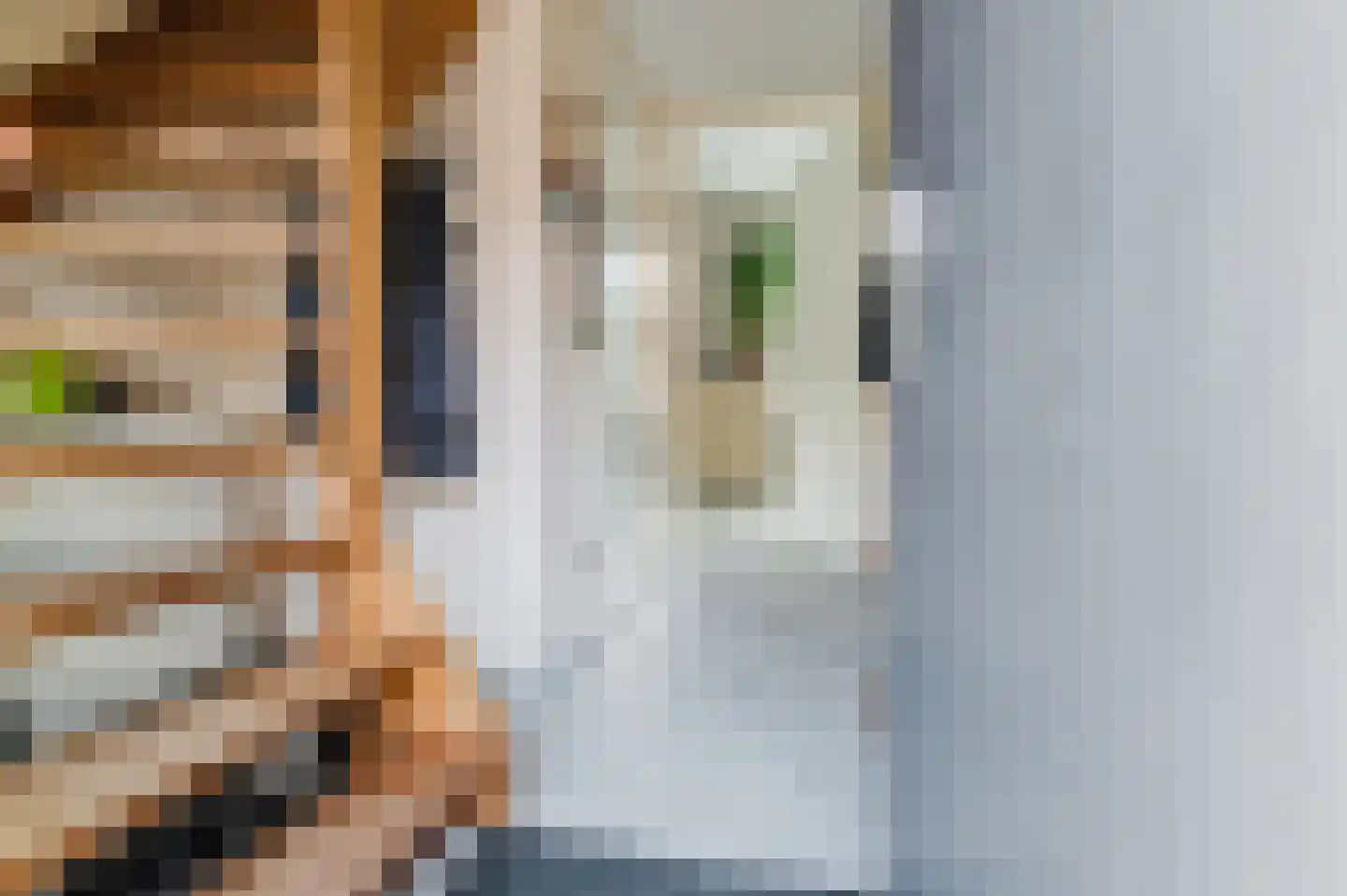 Pompeblêd 15 Lippenhuizen thumbnail 31