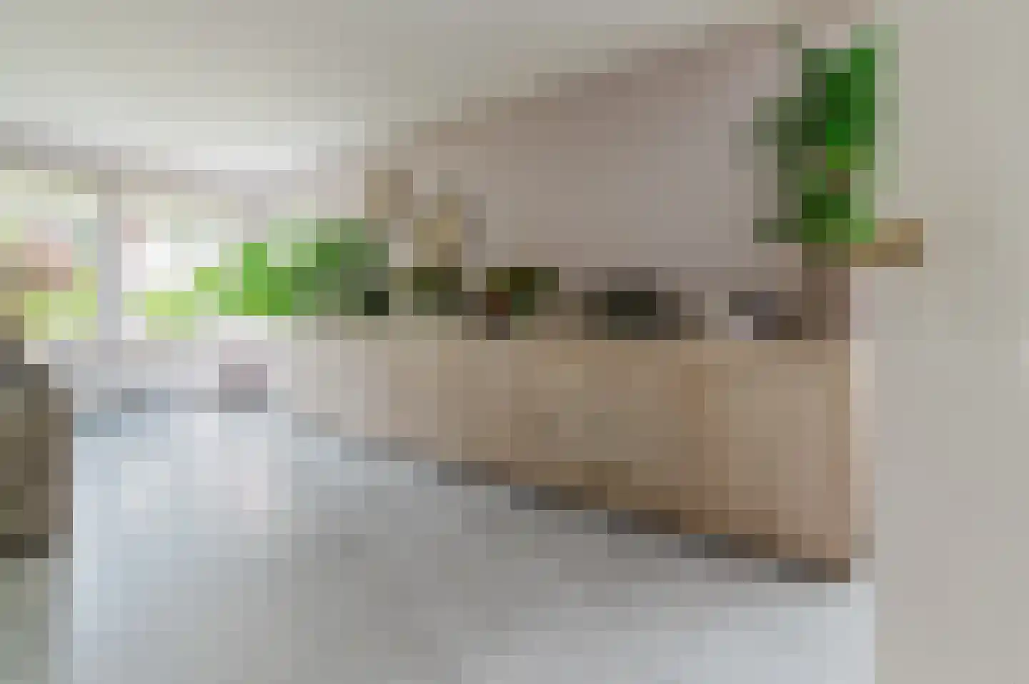 Pompeblêd 15 Lippenhuizen thumbnail 33