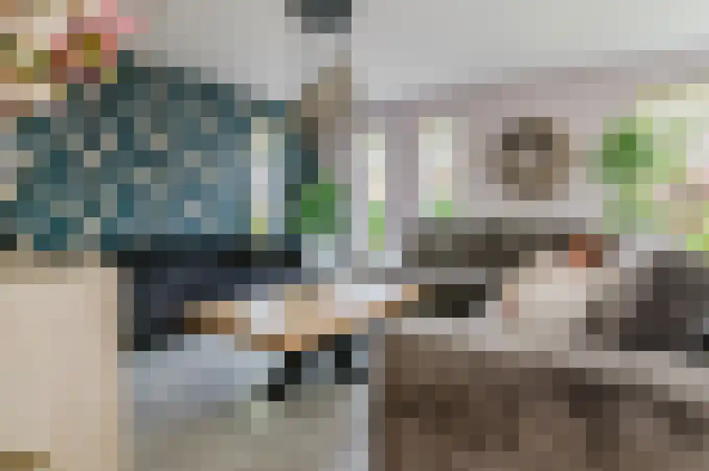 Pompeblêd 15 Lippenhuizen thumbnail 34