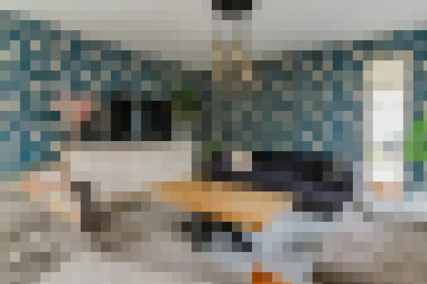 Pompeblêd 15 Lippenhuizen thumbnail 35