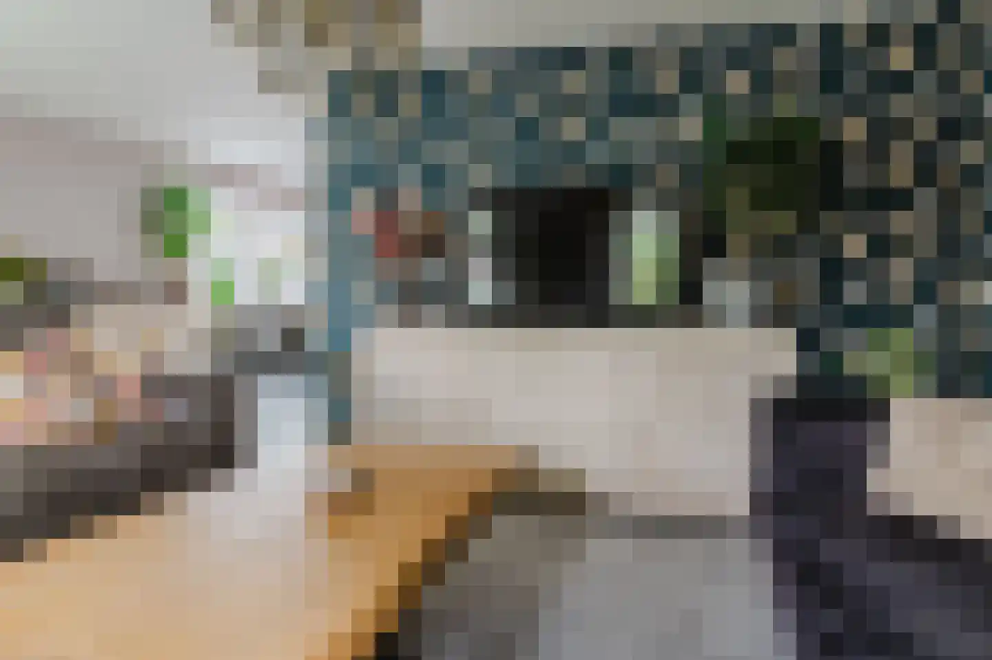 Pompeblêd 15 Lippenhuizen thumbnail 38