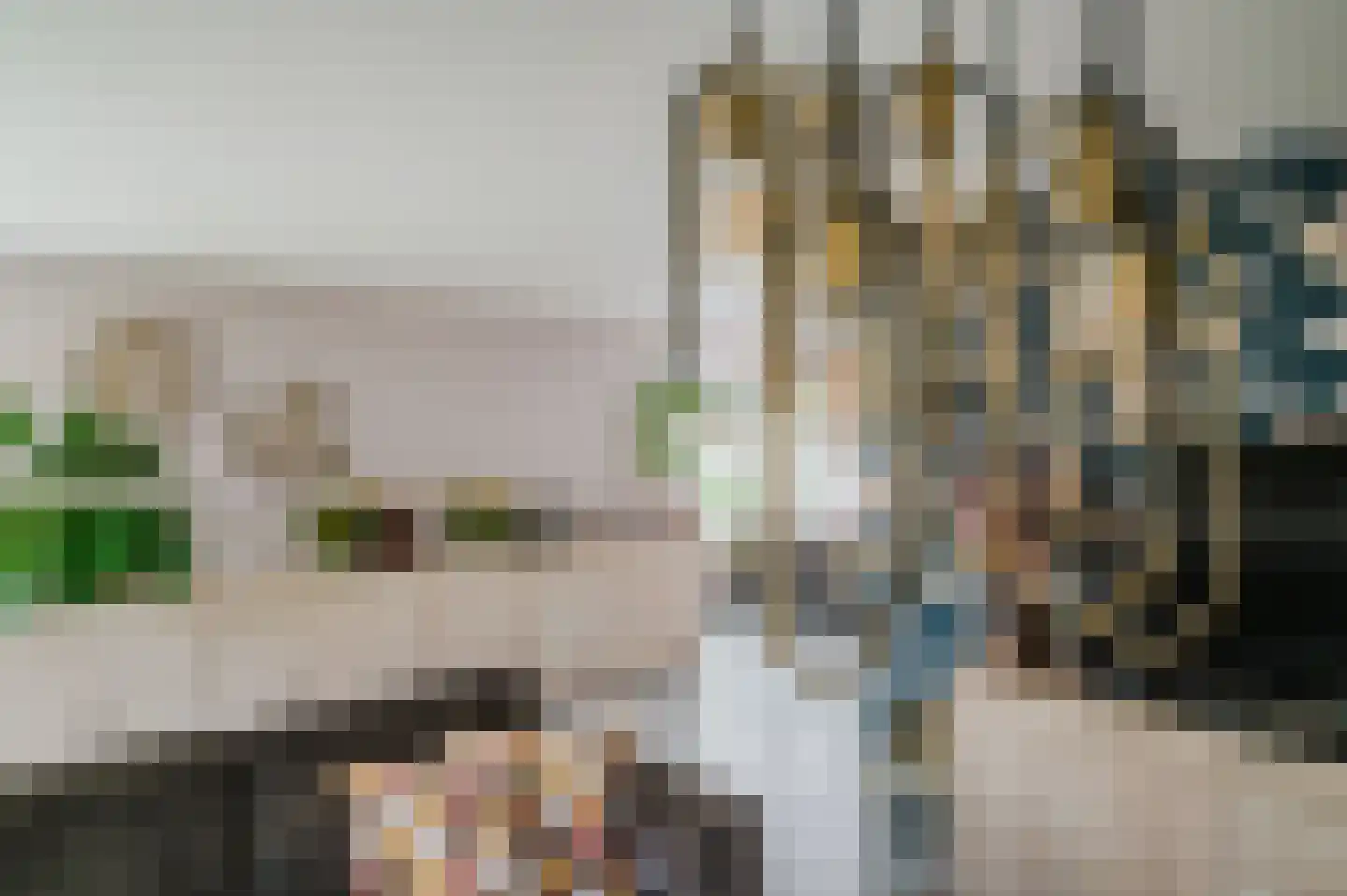 Pompeblêd 15 Lippenhuizen thumbnail 39