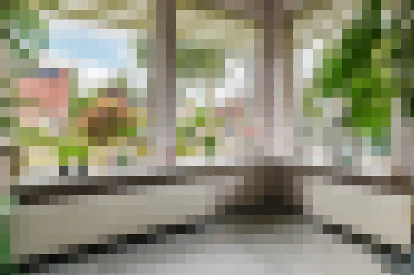 Pompeblêd 15 Lippenhuizen thumbnail 40