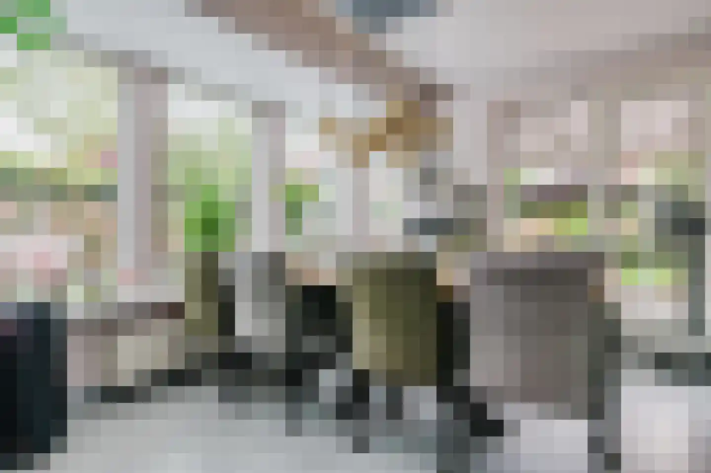 Pompeblêd 15 Lippenhuizen thumbnail 41