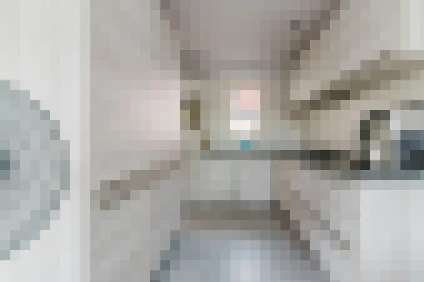 Pompeblêd 15 Lippenhuizen thumbnail 43