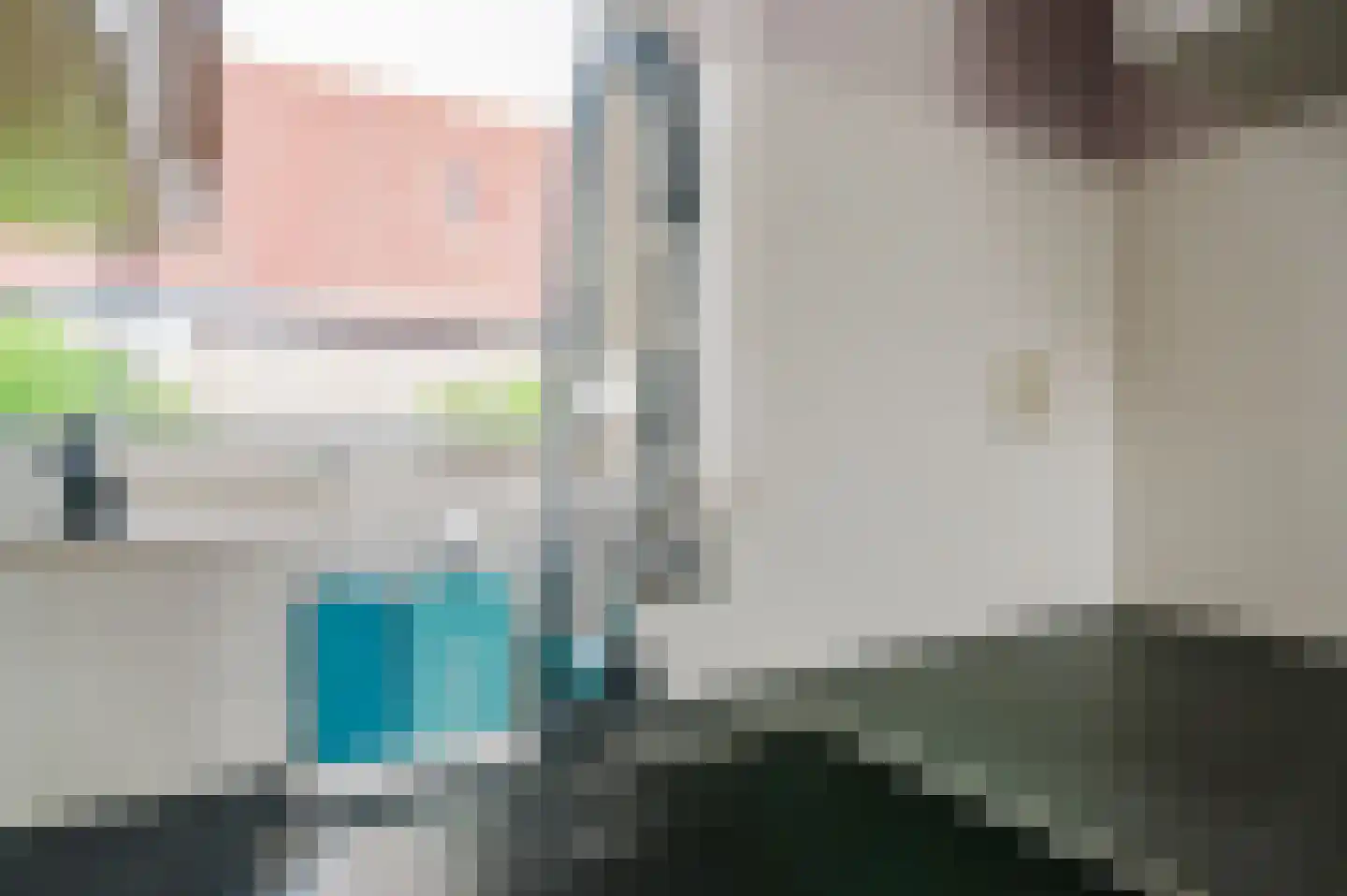 Pompeblêd 15 Lippenhuizen thumbnail 45