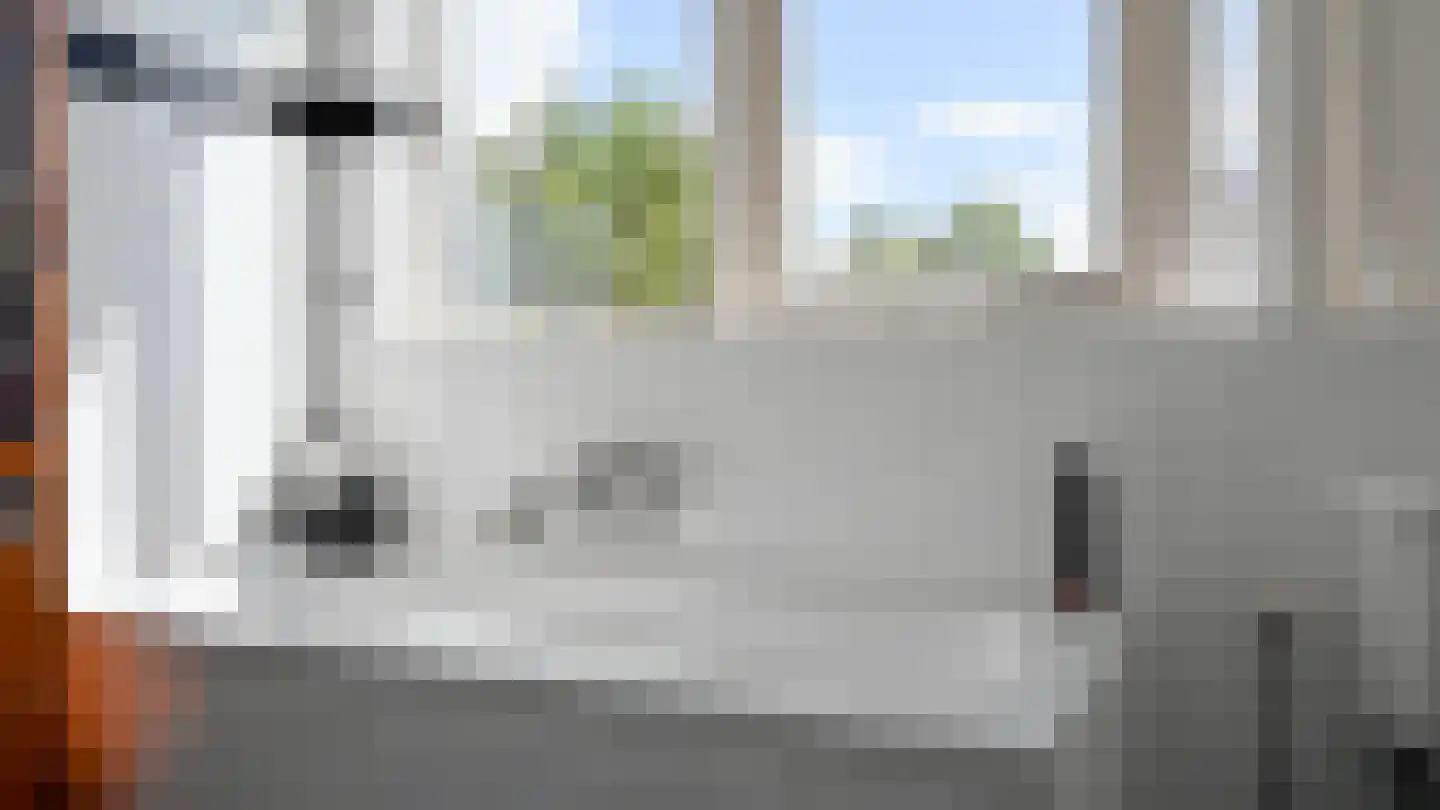 Pompeblêd 15 Lippenhuizen thumbnail 50