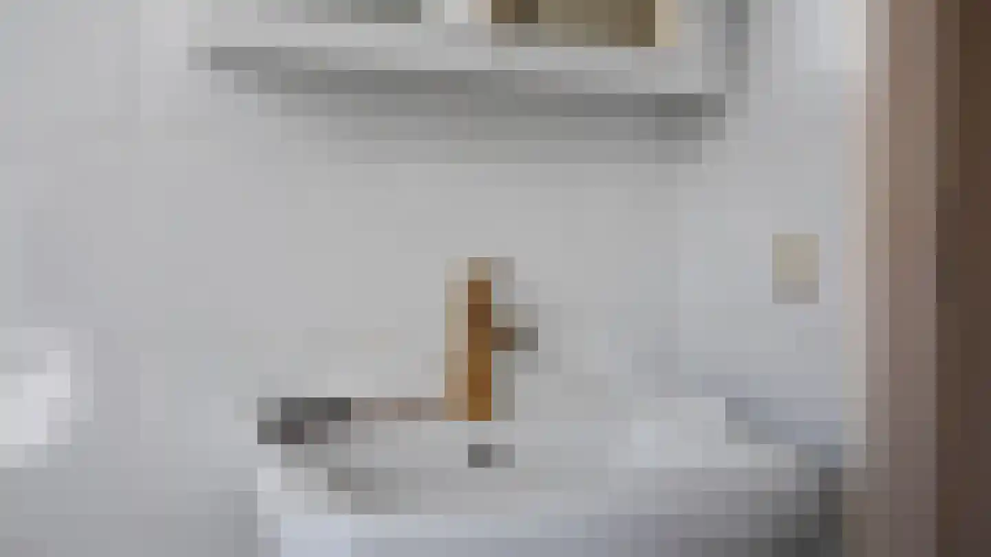 Pompeblêd 15 Lippenhuizen thumbnail 51