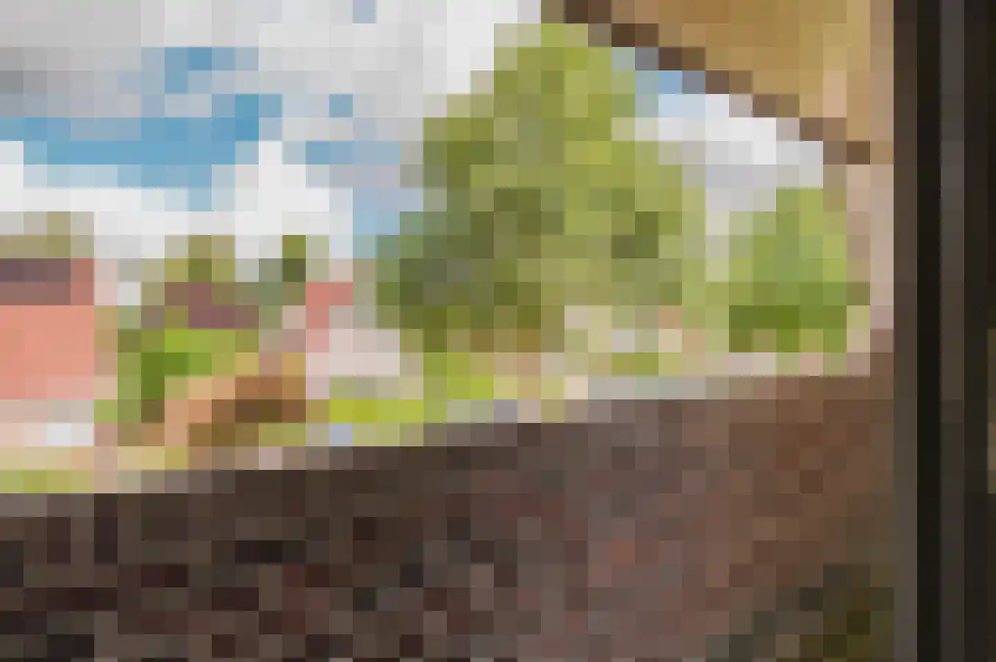 Pompeblêd 15 Lippenhuizen thumbnail 55