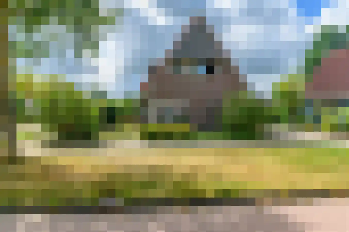 Pompeblêd 15 Lippenhuizen thumbnail 9
