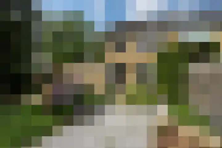 Pompeblêdstrjitte 7 Stiens thumbnail 11