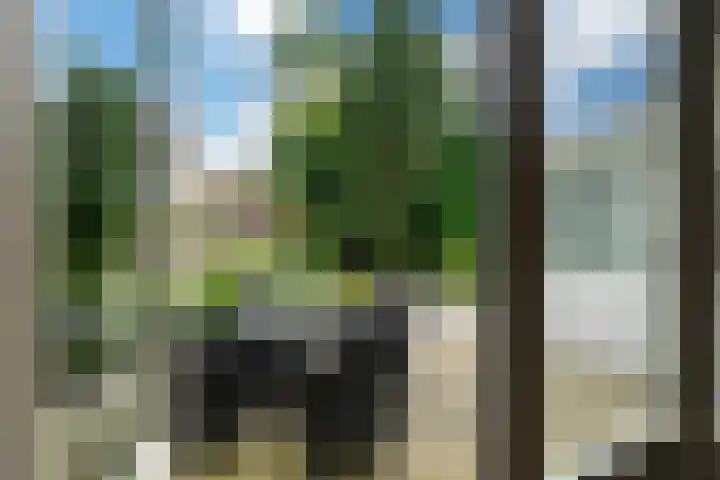 Pompeblêdstrjitte 7 Stiens thumbnail 12